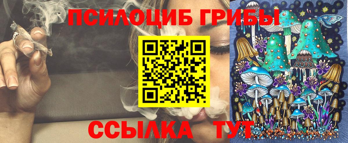 что такое   Вход с VPN  Верхняя Салда  Галлюциногенные грибы Psilocybe 